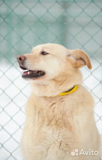 Нежная, милая Кэтти верит в чудо