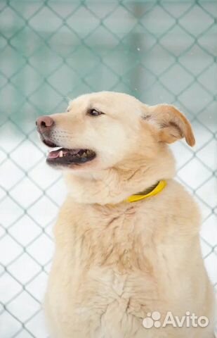 Нежная, милая Кэтти верит в чудо