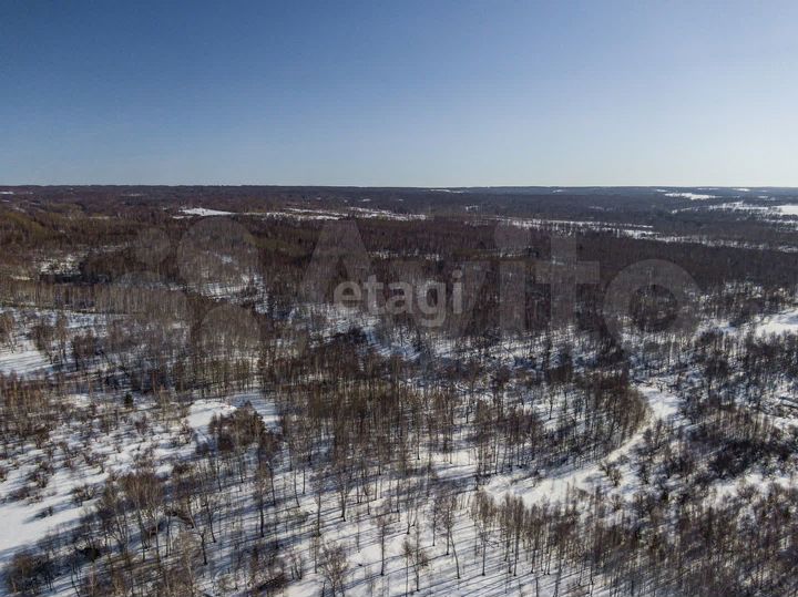 Участок 5 га (СНТ, ДНП)