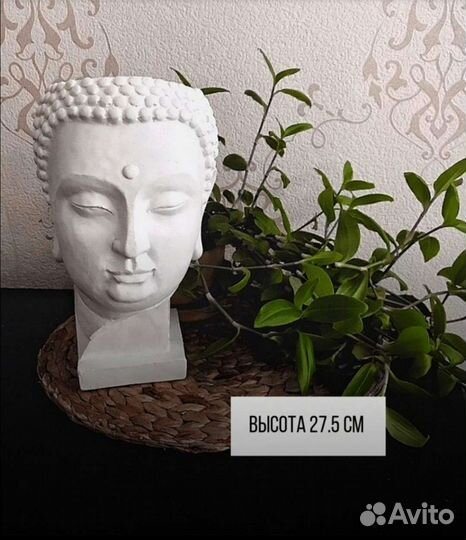 Кашпо губы Давида. Давид. Будда