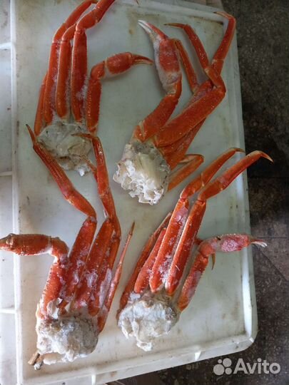 Продам камчатского краба и морепродукты с Камчатки
