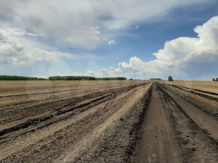 Участок 4 га (СНТ, ДНП)