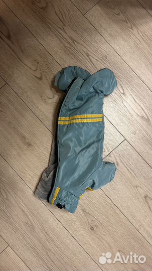 Костюм для собаки