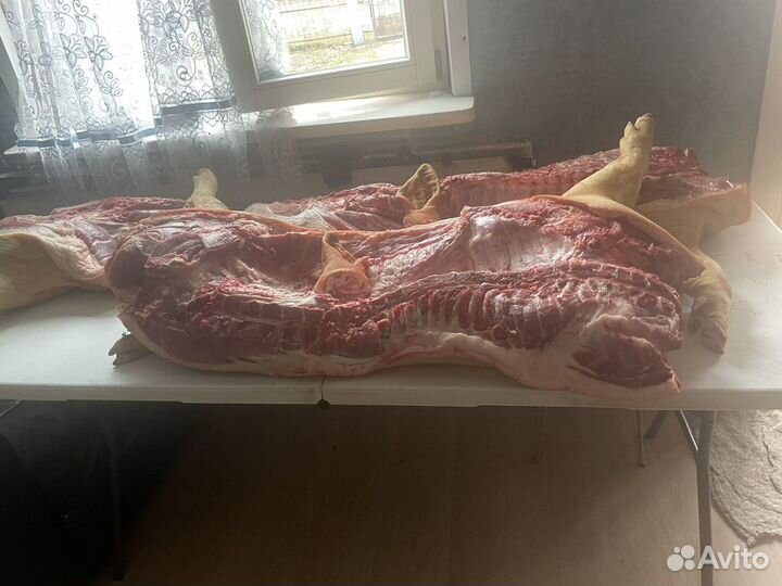 Мясо свинина домашняя