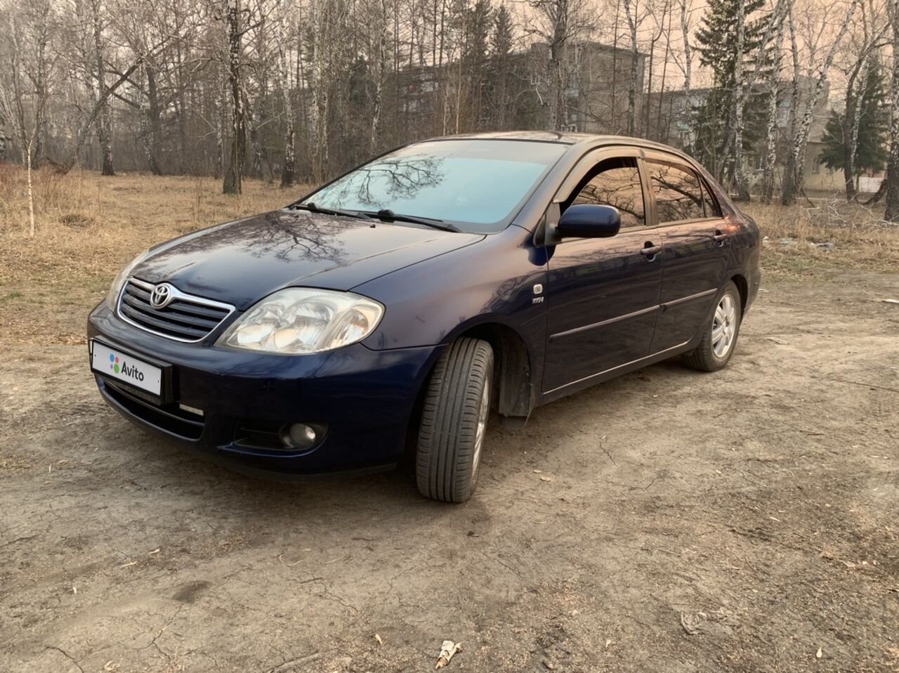 Toyota Corolla: фото владельца
