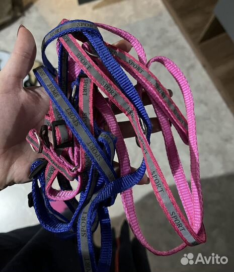 Шлейка поводок