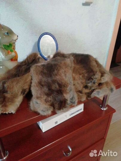 Шкурки ондатры продам