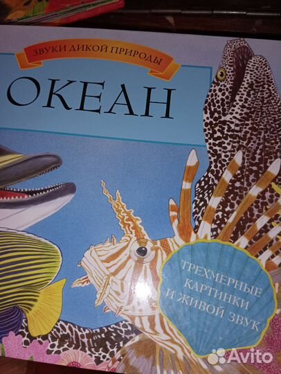 Детские книги с трёхмерными картинками