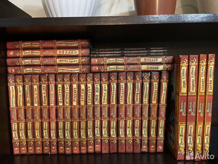 Коты-воители Эрик Хантер