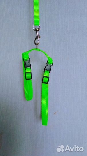 Амуниция для собак