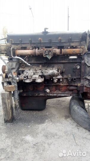 Двигатель iveco курсор 10