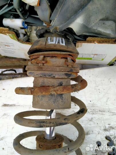 Стойка передняя правая Шевроле Лачетти Седан