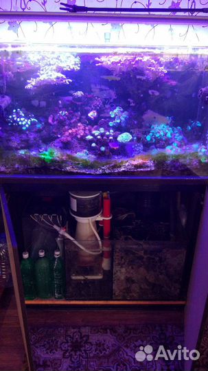 Морской аквариум