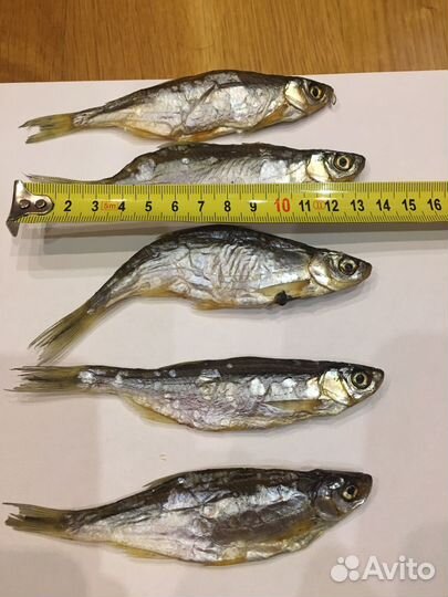 Уклейка малосольная с икрой