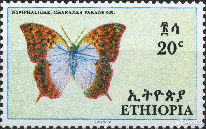 Бабочки Эфиопии. Эфиопия 1967 г