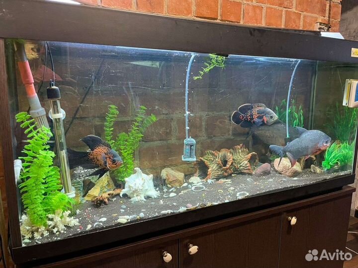 Аквариум с тумбой 250 литров