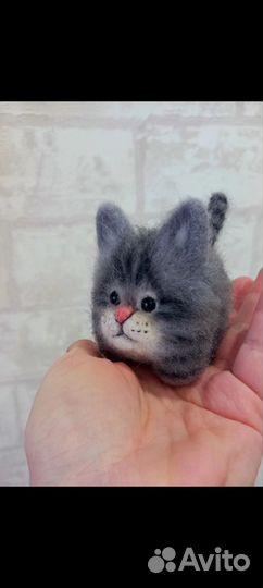 Котята шерстяные