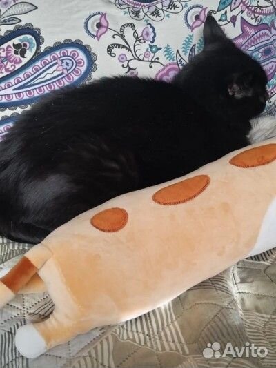 Плюшевый, оранжевый кот 50см