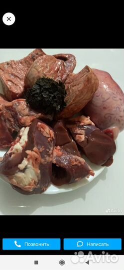 Корм для собак