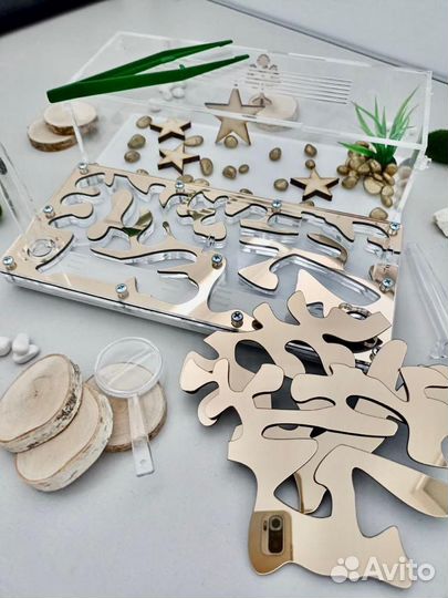 Муравьиная ферма с муравьями Зеркальное золото