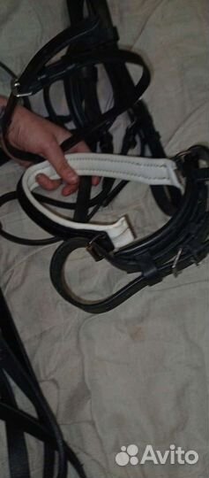 Амуниция для лошади и всадника