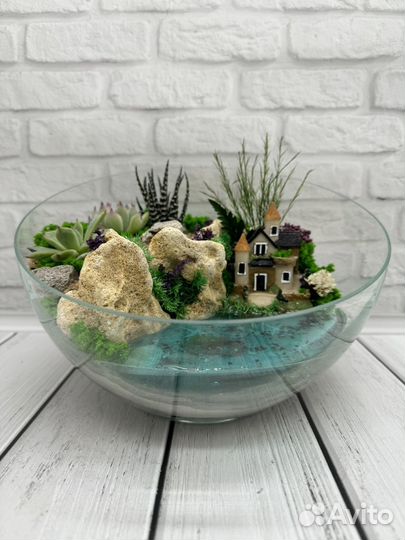 Флорариум с суккулентами