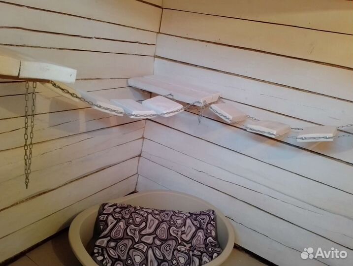 Гостиница для собак и кошек (передержка), зооняня