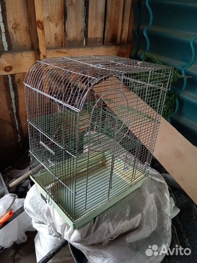 Клетка для грызунов большая