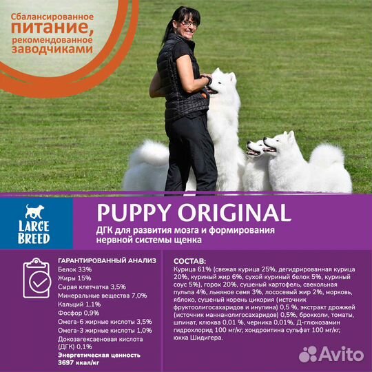 Корм Wellness core из курицы для щенков крупных по