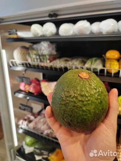 Авокадо свежее из Таиланда