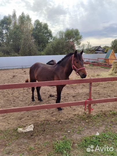 Фермерско-рекреационный комплекс 