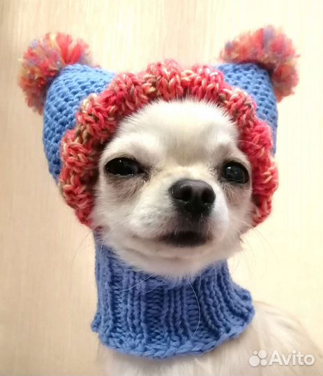 Шапочки для собак