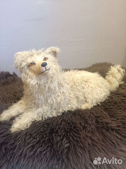 Антикварная французская пижамная собака Лу-лу Шпиц