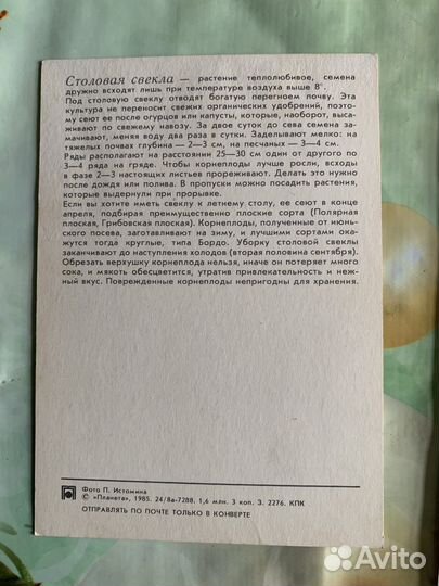 Набор открыток для садовода 1980-х годов - 30 штук