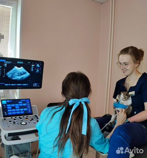 Ветеринарные услуги.Ратолог