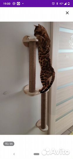 Настенный комплекс-когтеточка для кошек