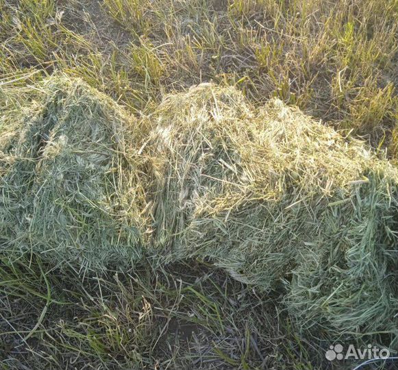 Сено в тюках