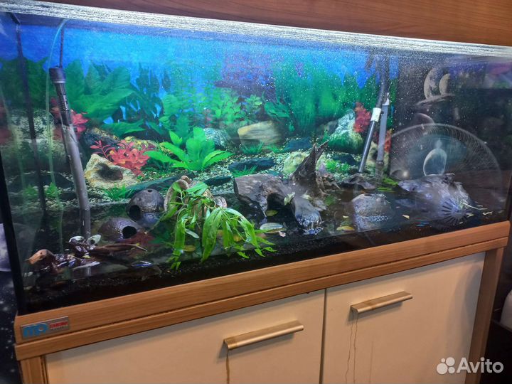 Аквариум