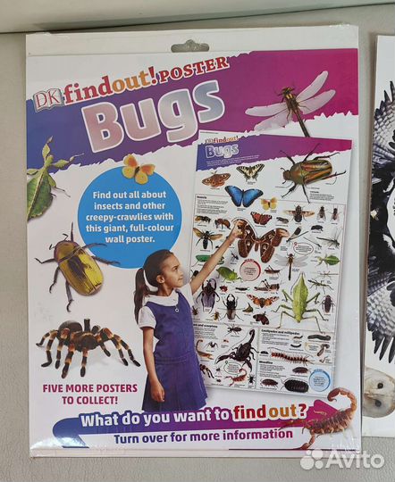 Постеры на английском DKfindout