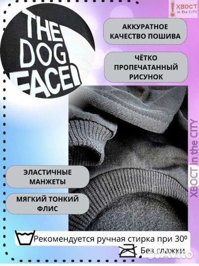 Одежда для собак