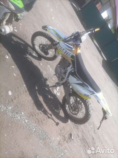 Avantis FX 250 LUX