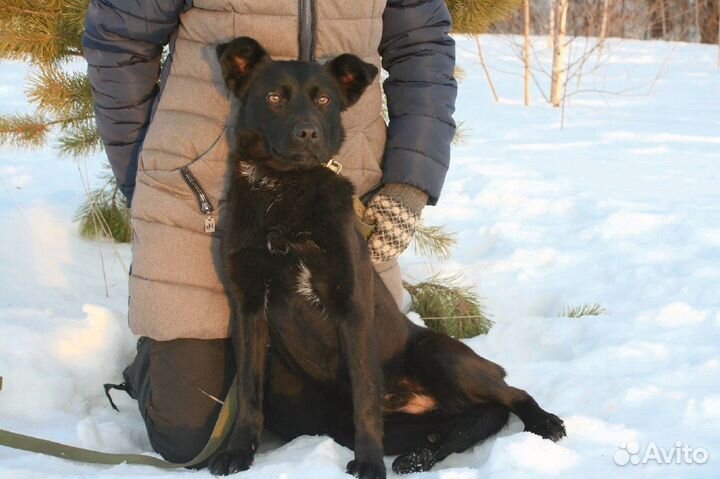 Мега классная Ксива