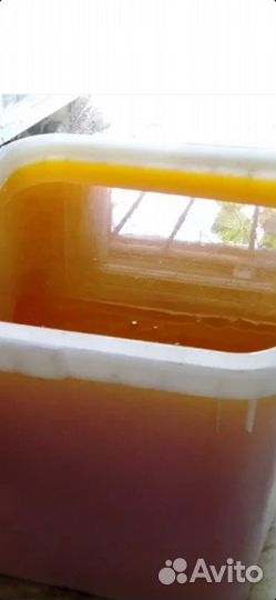 Мёд Майский. 2023г отправка по россии