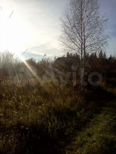 Участок 6 сот. (СНТ, ДНП)