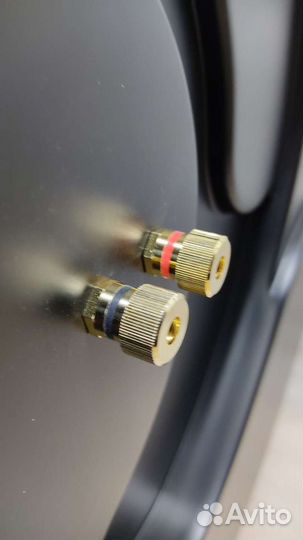 Рупорная акустика