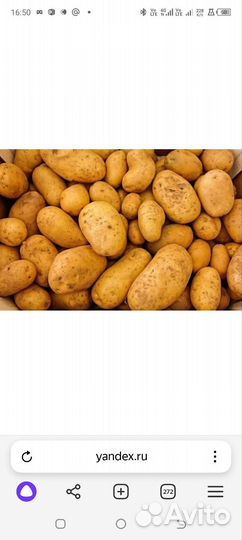 Продам картофель