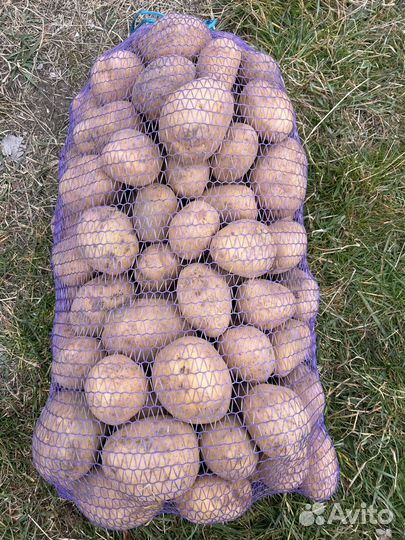 Картошка с доставкой