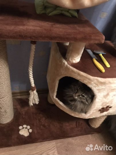 Домик для кошки с когтеточкой