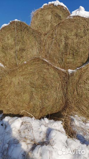 Сено в рулонах