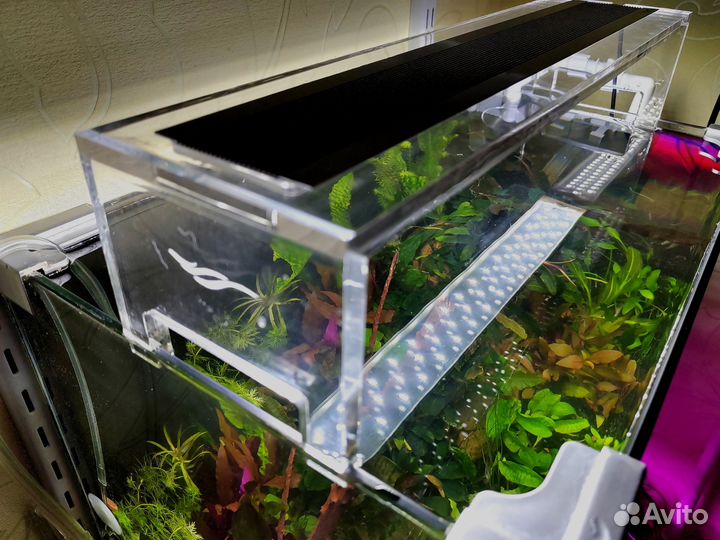 Аквариум -травник